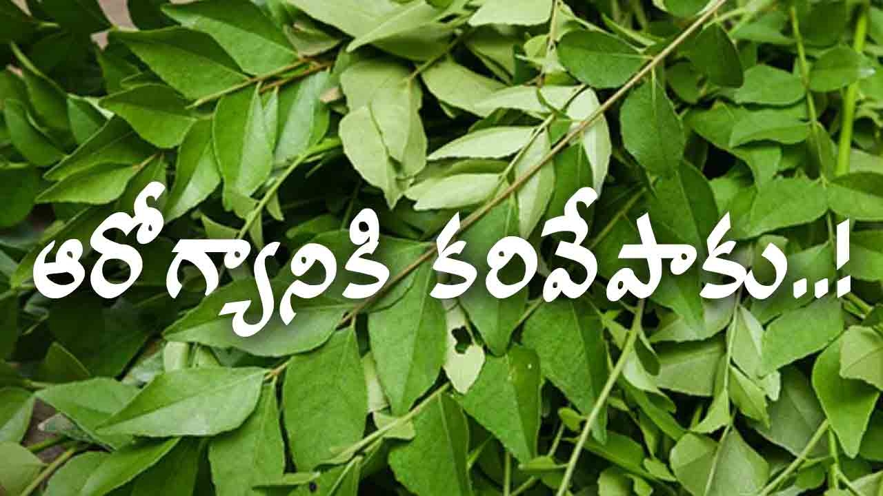 కరివేపాకు అని తీసి పాడేయకండి.. అది ఆరోగ్యానికి చేసే మేలు తెలిస్తే అస్సలు వదలరు